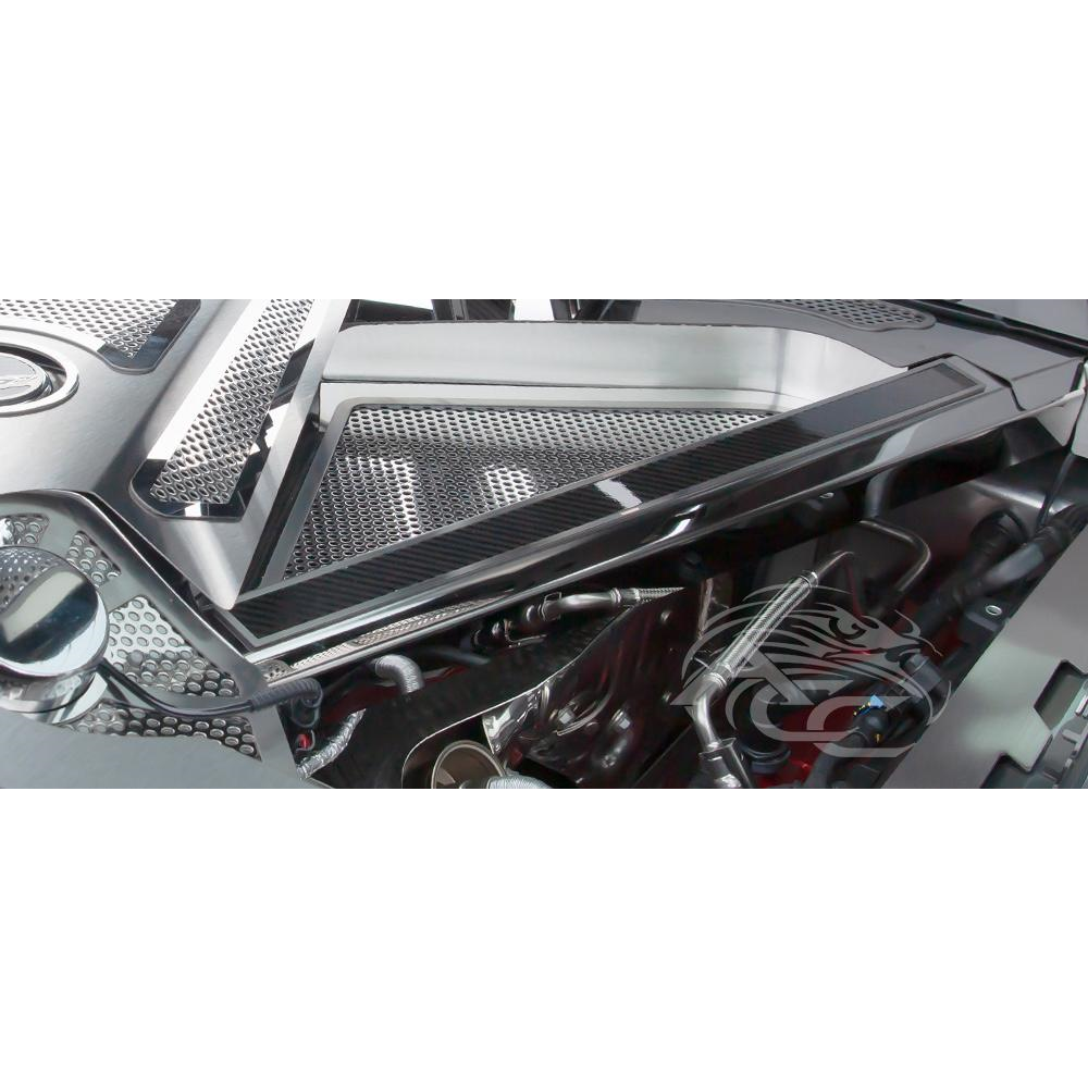 C8 Corvette - Rear Crossmember Covers w/Carbon Fiber Top Plate 2Pc : Stainless Steel