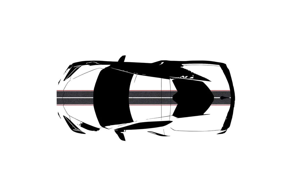 C8 Corvette Full Legnth Dual Two-Tone Striping Kit with Pin Stripes Front to Back : C8 2020 - 2026