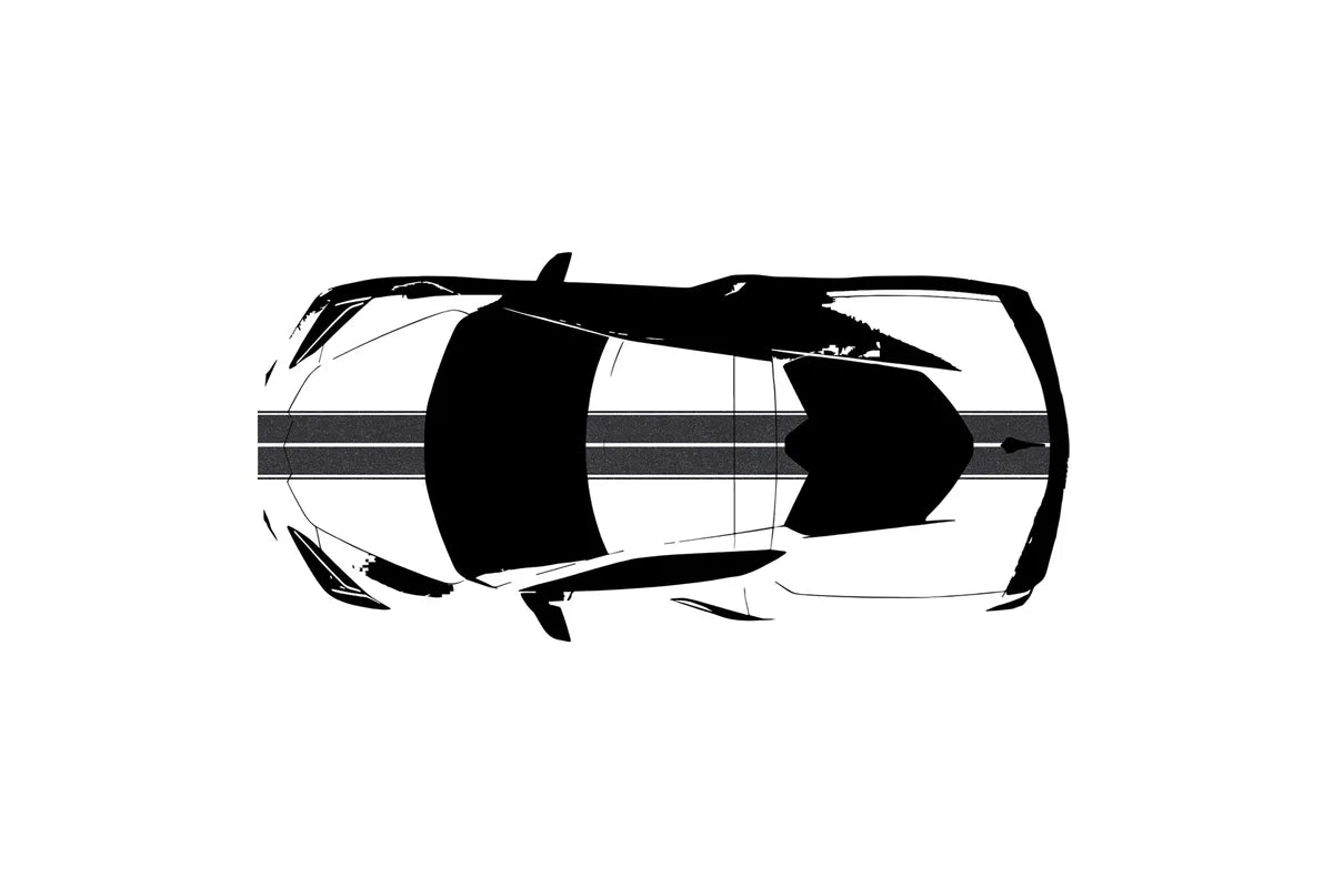 C8 Corvette Full Legnth Dual Two-Tone Striping Kit with Pin Stripes Front to Back : C8 2020 - 2026