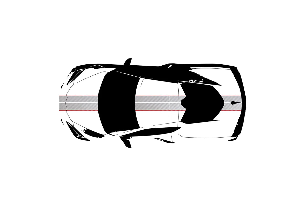 C8 Corvette Full Legnth Dual Two-Tone Striping Kit with Pin Stripes Front to Back : C8 2020 - 2026