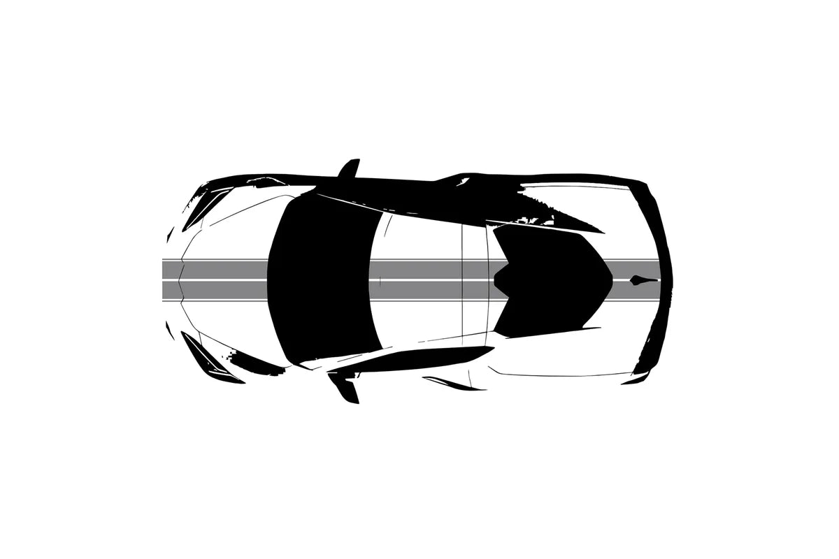 C8 Corvette Full Legnth Dual Two-Tone Striping Kit with Pin Stripes Front to Back : C8 2020 - 2026