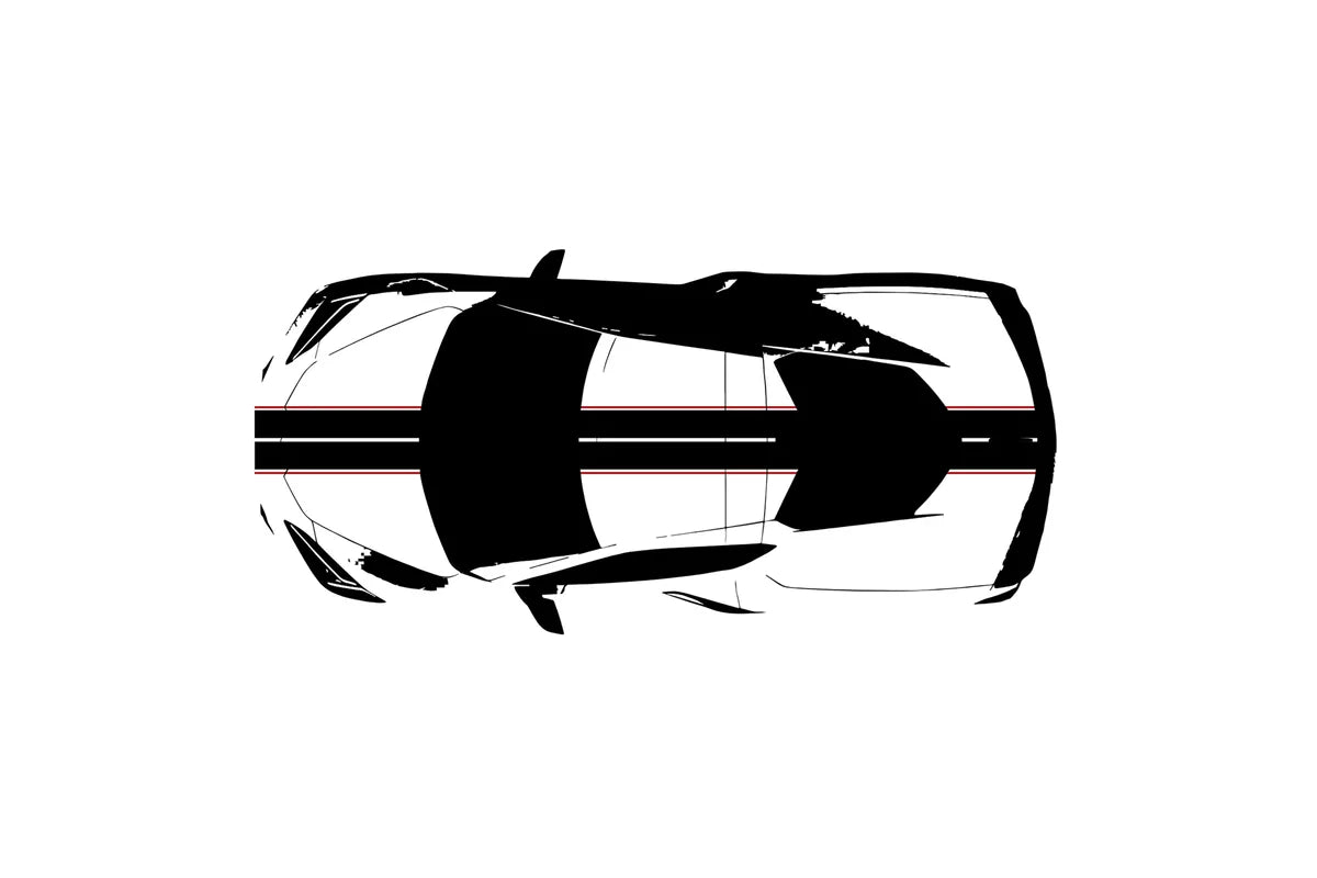 C8 Corvette Full Legnth Dual Two-Tone Striping Kit with Pin Stripes Front to Back : C8 2020 - 2026