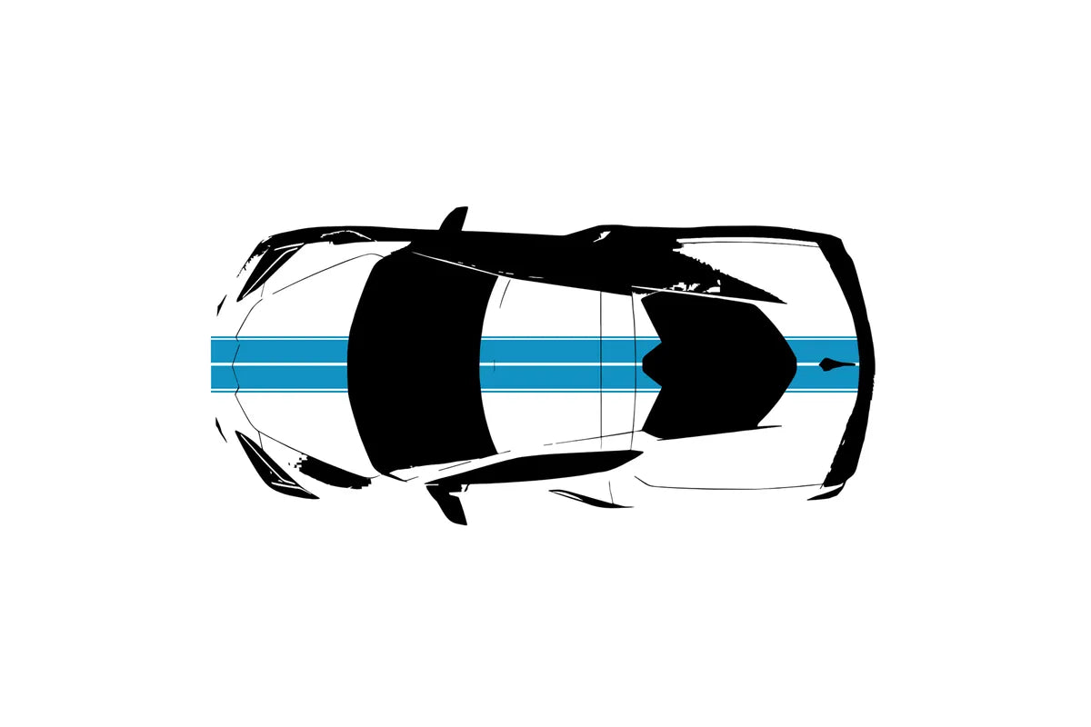 C8 Corvette Full Legnth Dual Two-Tone Striping Kit with Pin Stripes Front to Back : C8 2020 - 2026