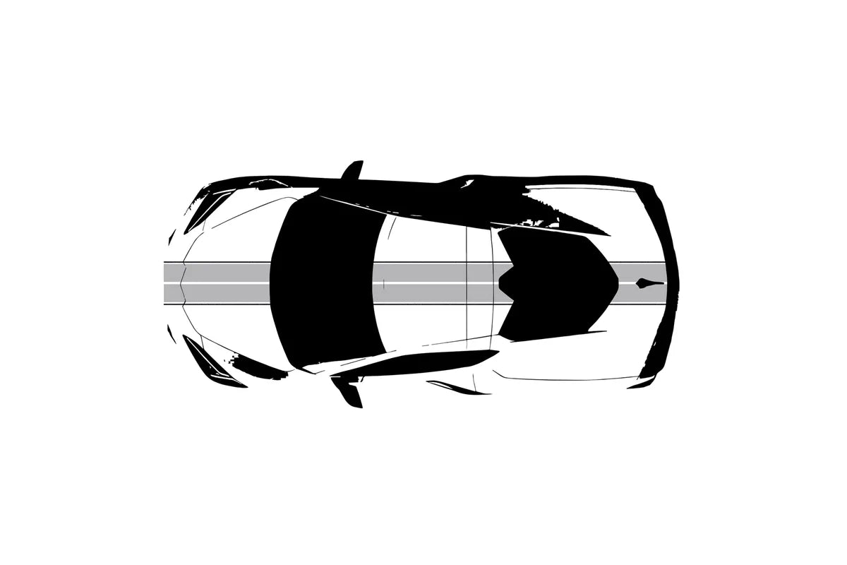 C8 Corvette Full Legnth Dual Two-Tone Striping Kit with Pin Stripes Front to Back : C8 2020 - 2026