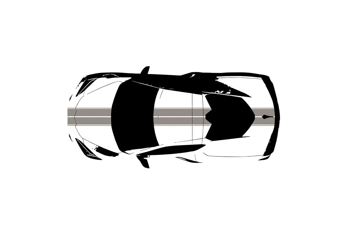 C8 Corvette Full Legnth Dual Two-Tone Striping Kit with Pin Stripes Front to Back : C8 2020 - 2026