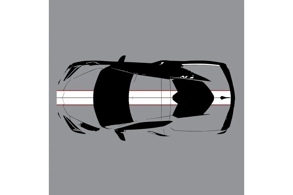 C8 Corvette Full Legnth Dual Two-Tone Striping Kit with Pin Stripes Front to Back : C8 2020 - 2026