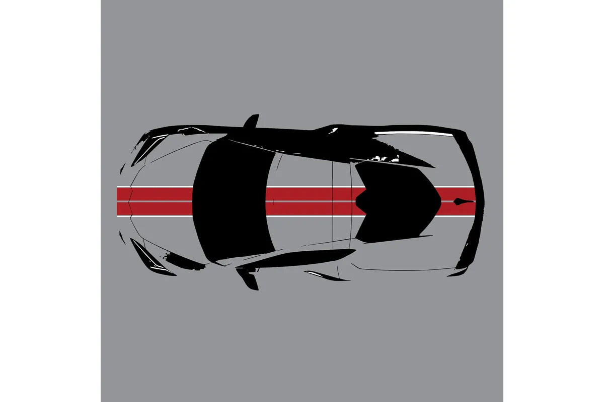 C8 Corvette Full Legnth Dual Two-Tone Striping Kit with Pin Stripes Front to Back : C8 2020 - 2026