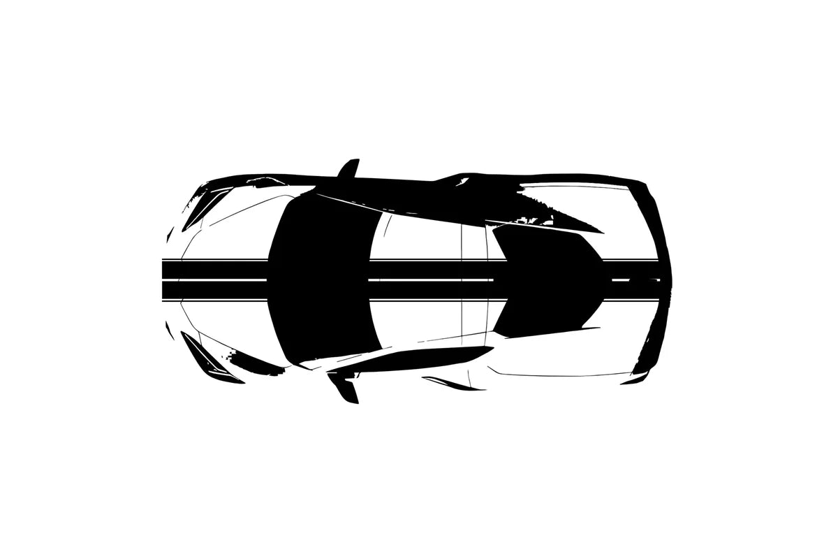 C8 Corvette Full Legnth Dual Two-Tone Striping Kit with Pin Stripes Front to Back : C8 2020 - 2026