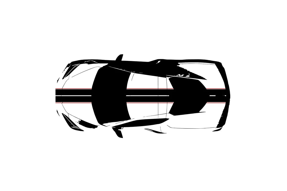 C8 Corvette Full Legnth Dual Two-Tone Striping Kit with Pin Stripes Front to Back : C8 2020 - 2026
