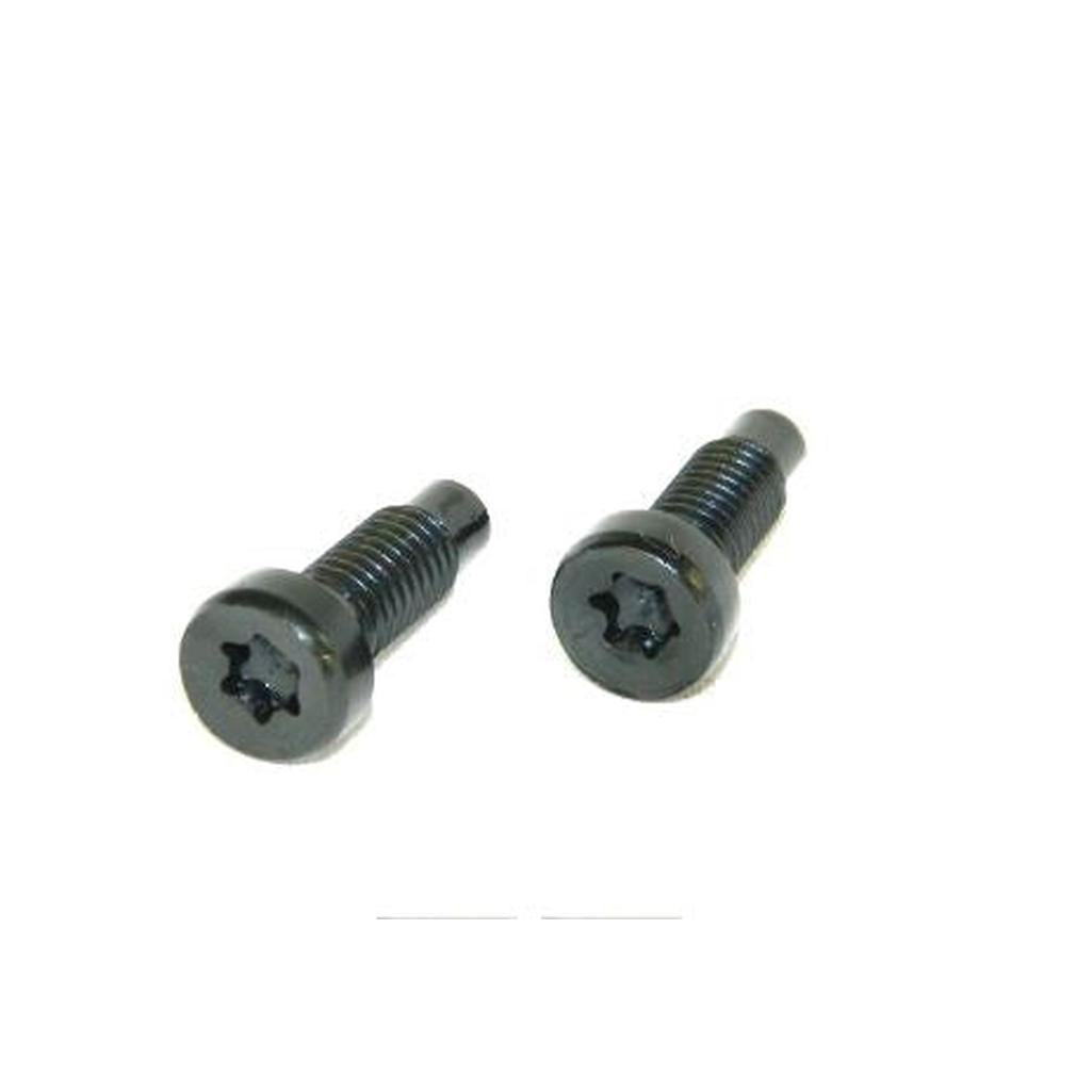 C4 1984-1996 Corvette Roof Attach Bolts - Rear