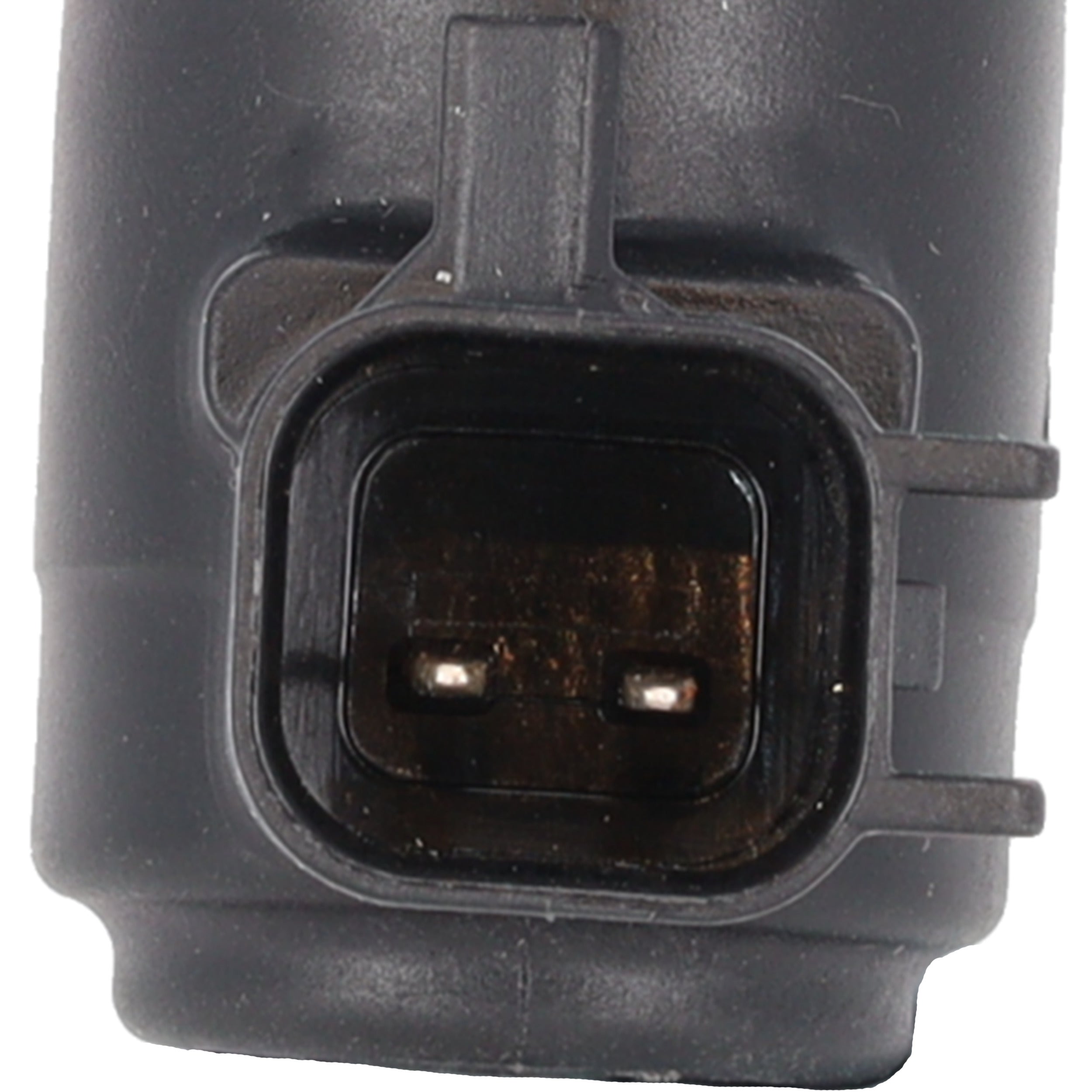 Corvette Vapor Canister Vent Valve : 2016-2023