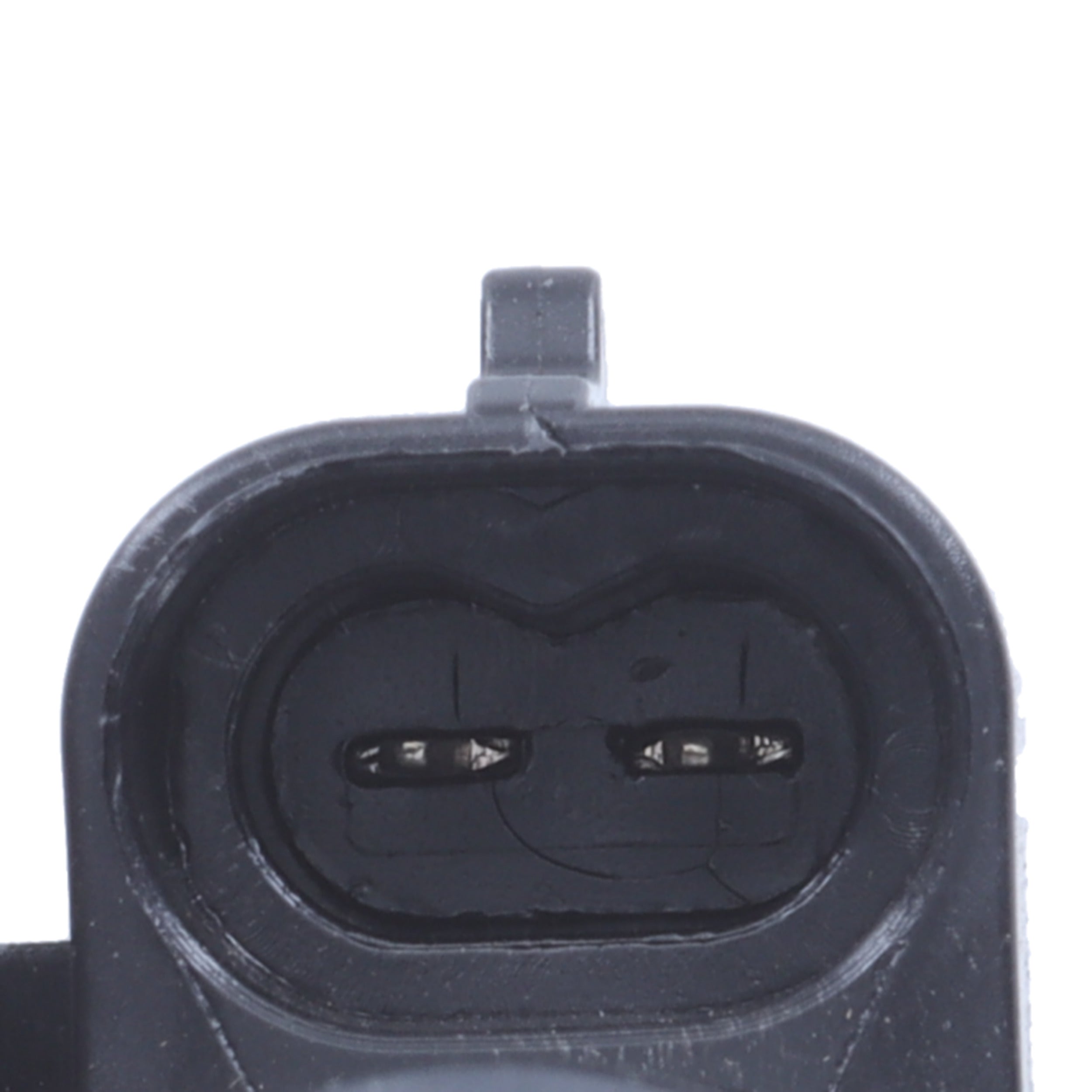 Corvette Vapor Canister Vent Solenoid : 2000-2004 5.7