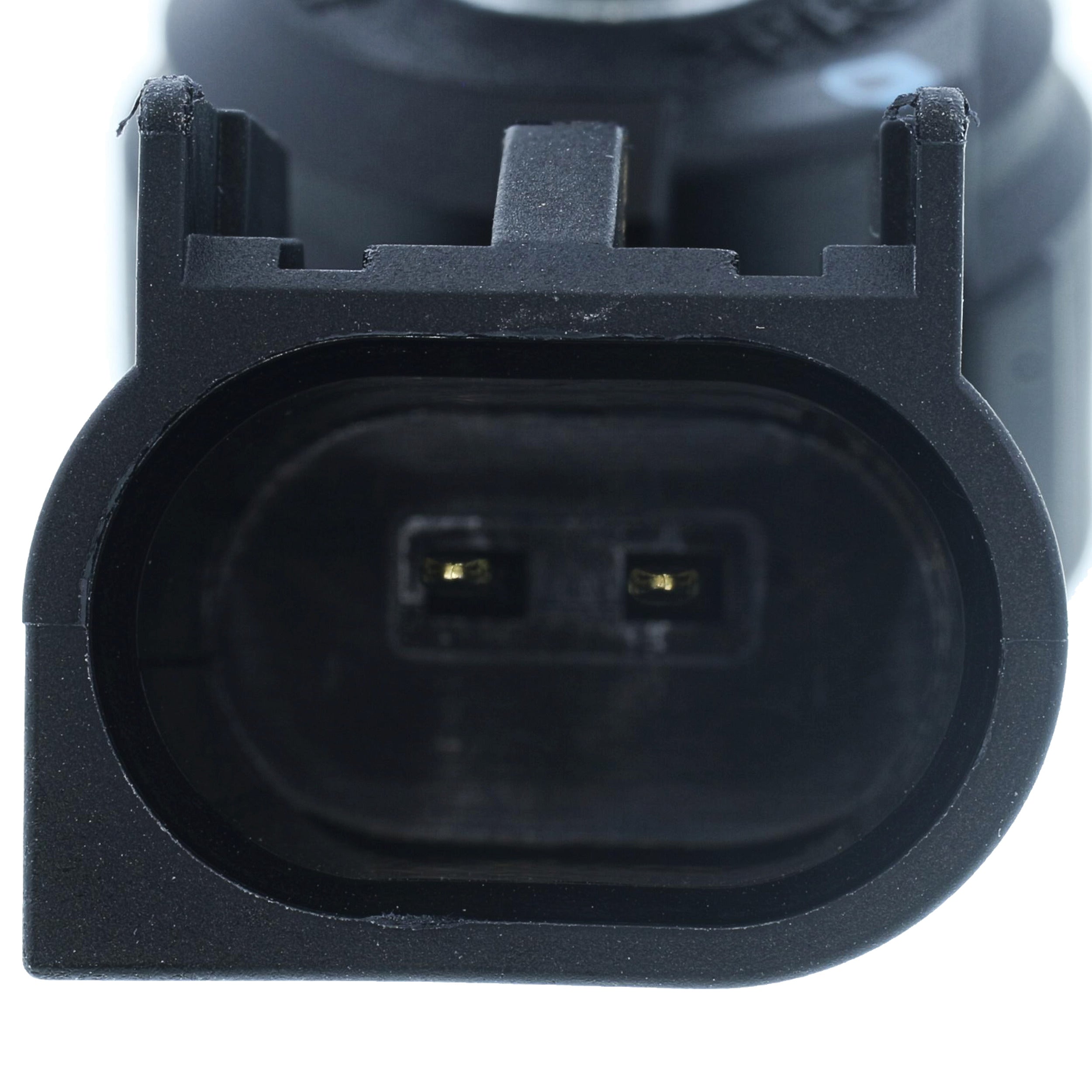 Corvette Ignition Knock (Detonation) Sensor : 2014-2024