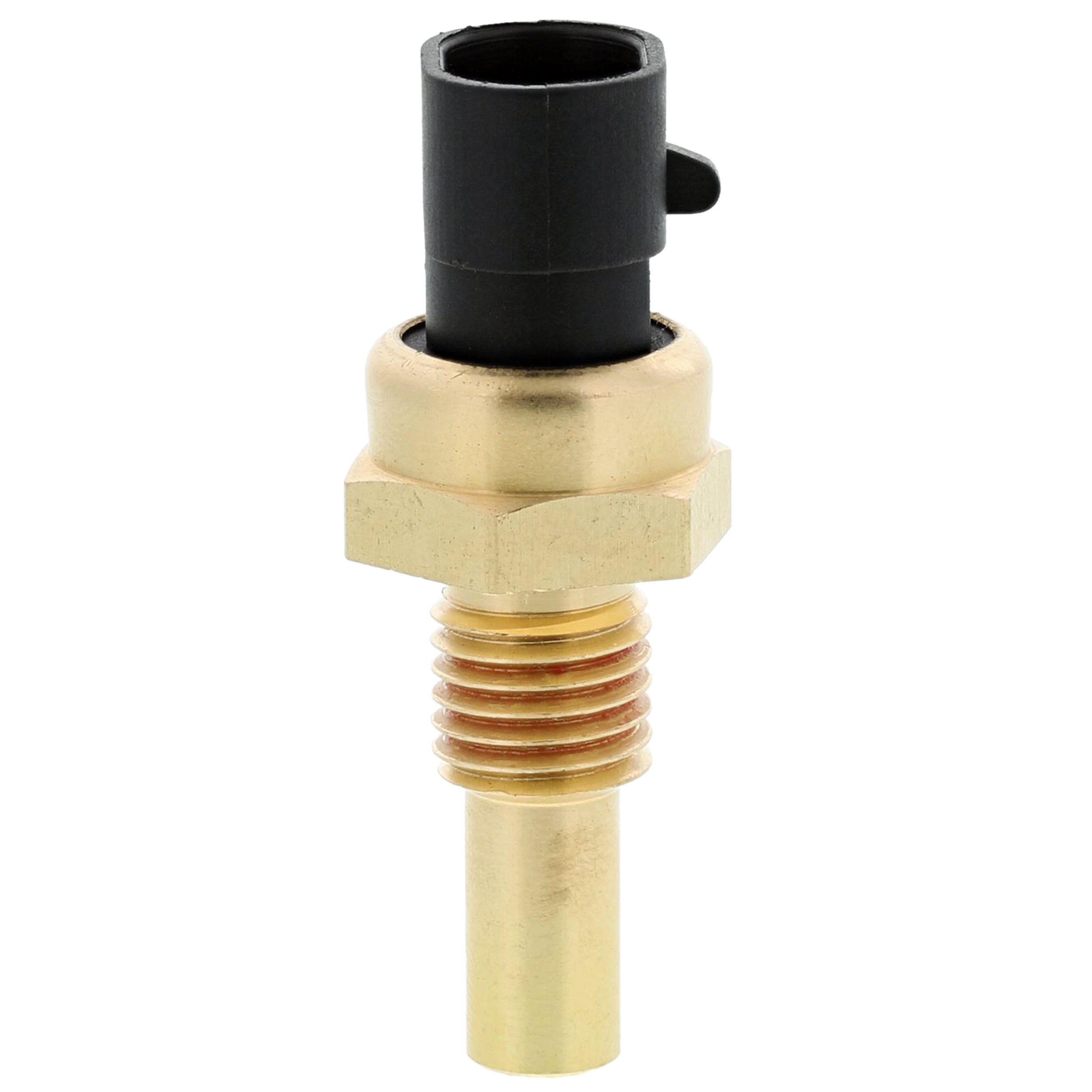 Corvette Engine Coolant Temperature Sensor : 1999-2019