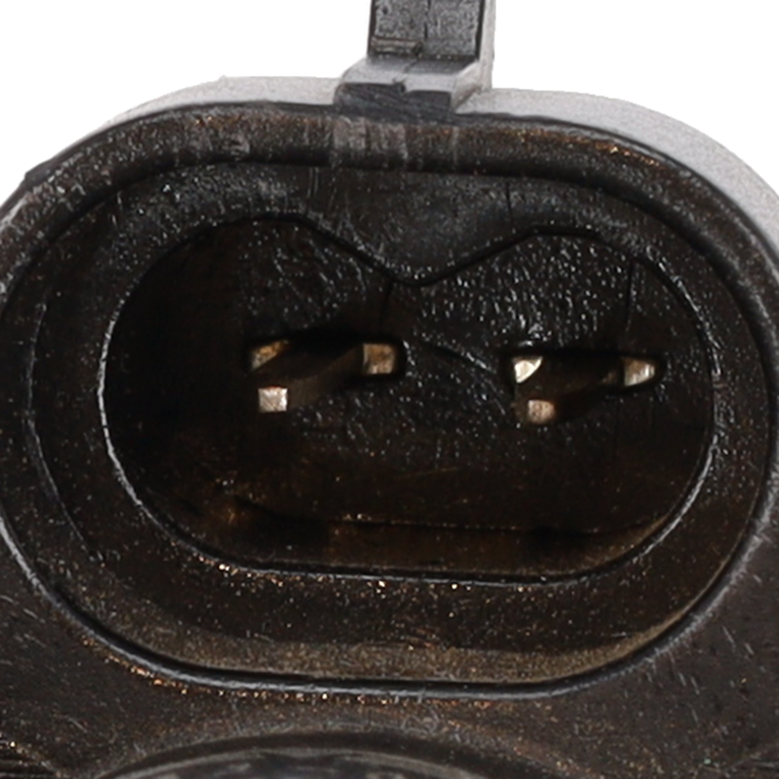 Corvette Vapor Canister Vent Solenoid : 1999 5.7