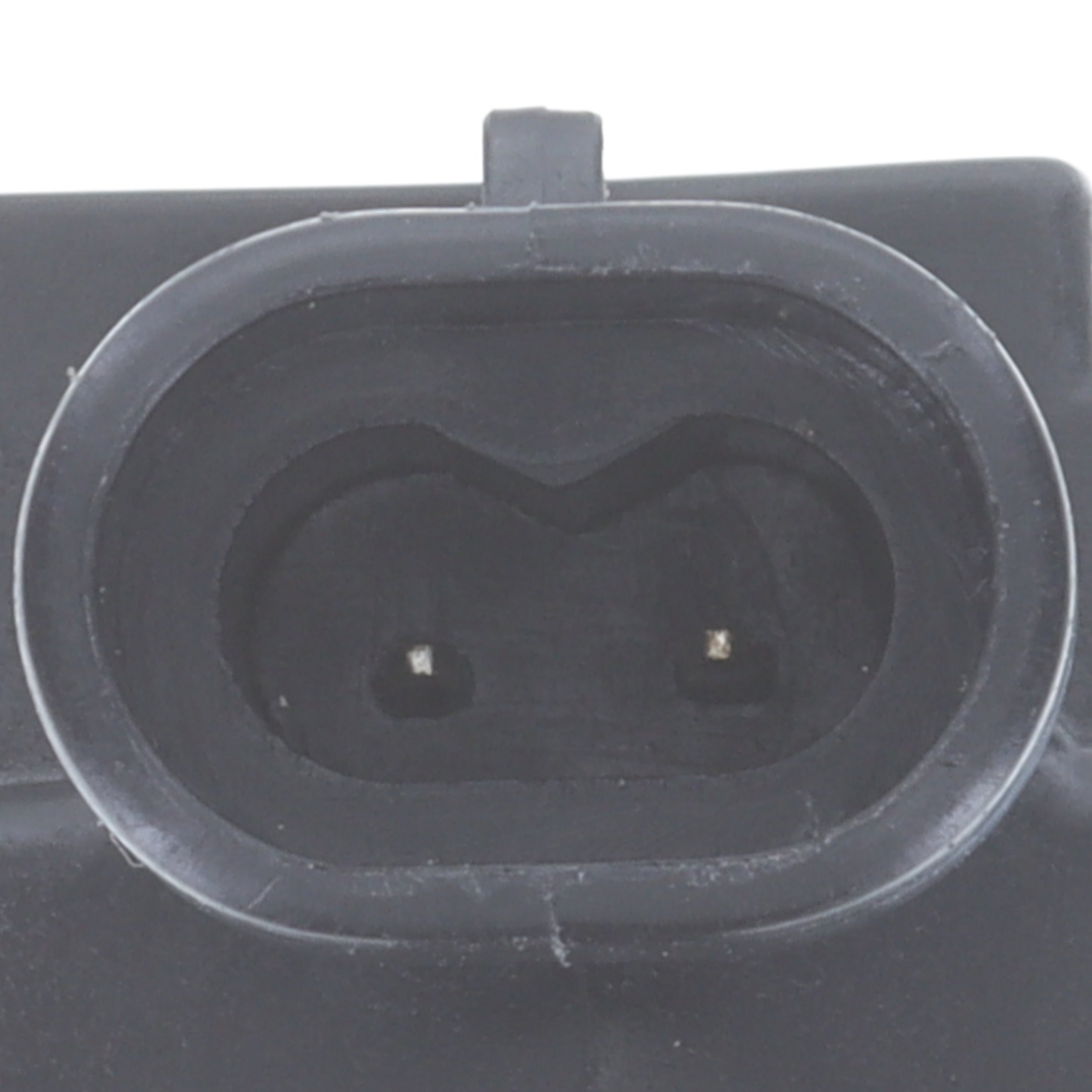 Corvette Vapor Canister Purge Solenoid : 2007-2019