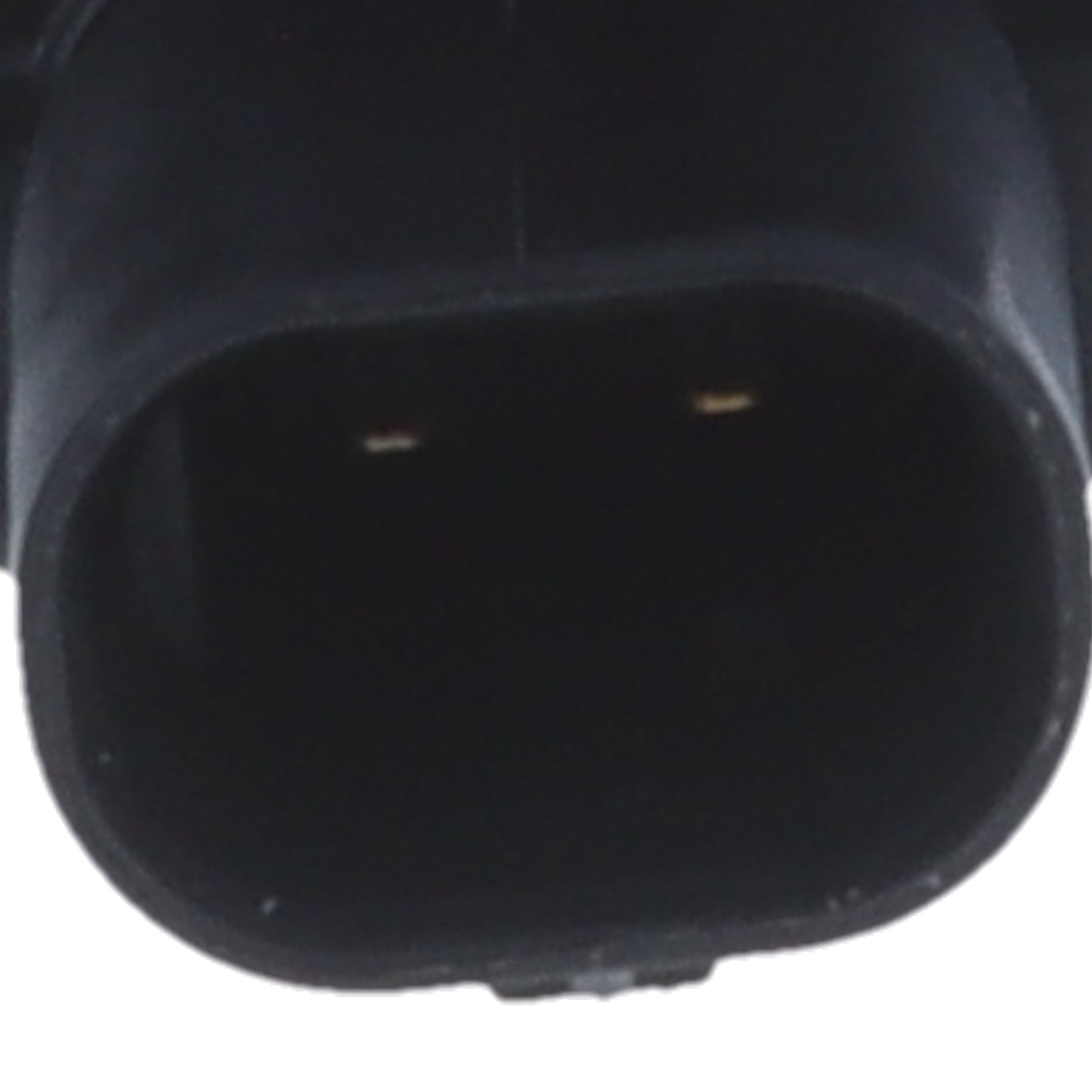 Corvette Vapor Canister Purge Solenoid : 2014-2023