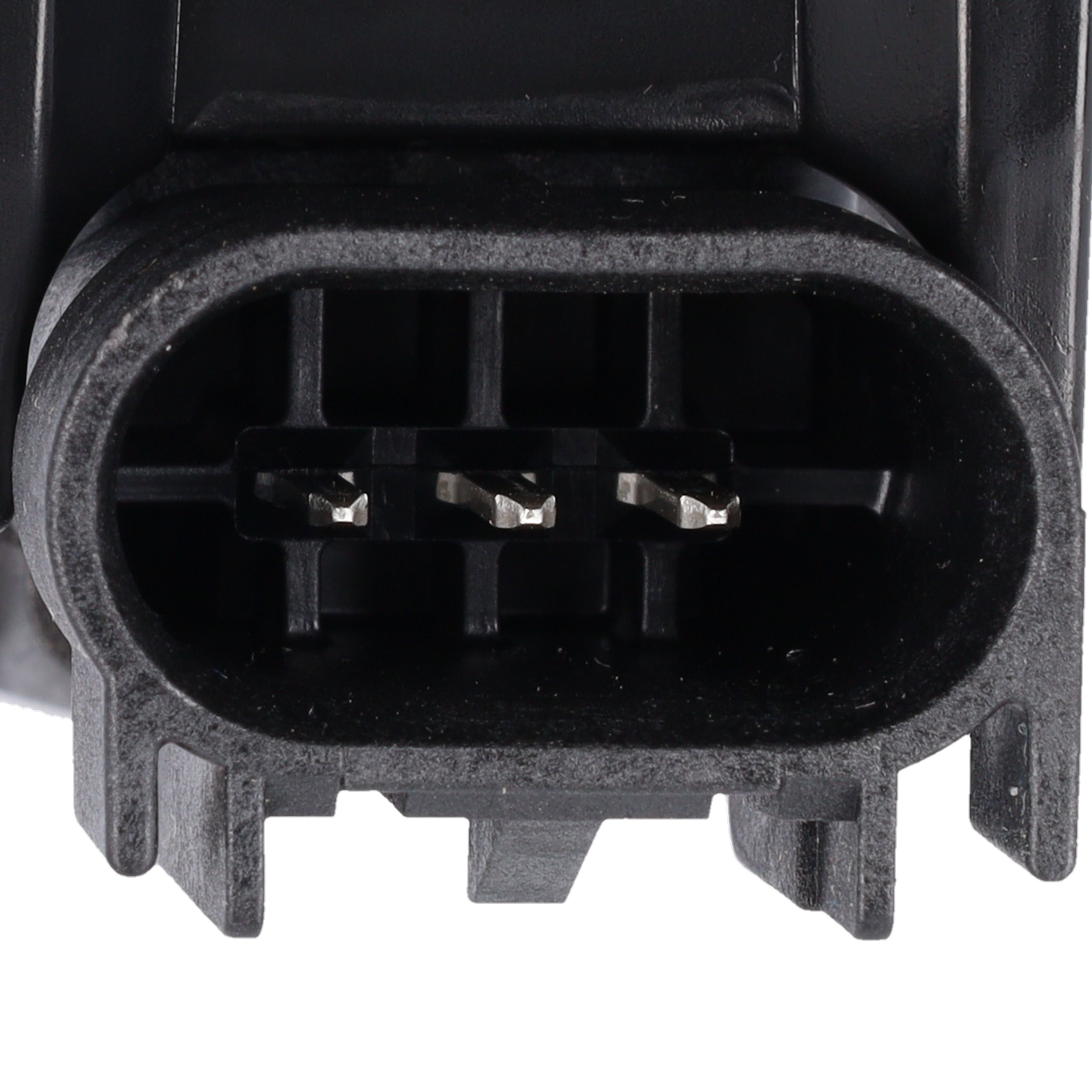 Corvette Vapor Canister : 2014-2019 6.2