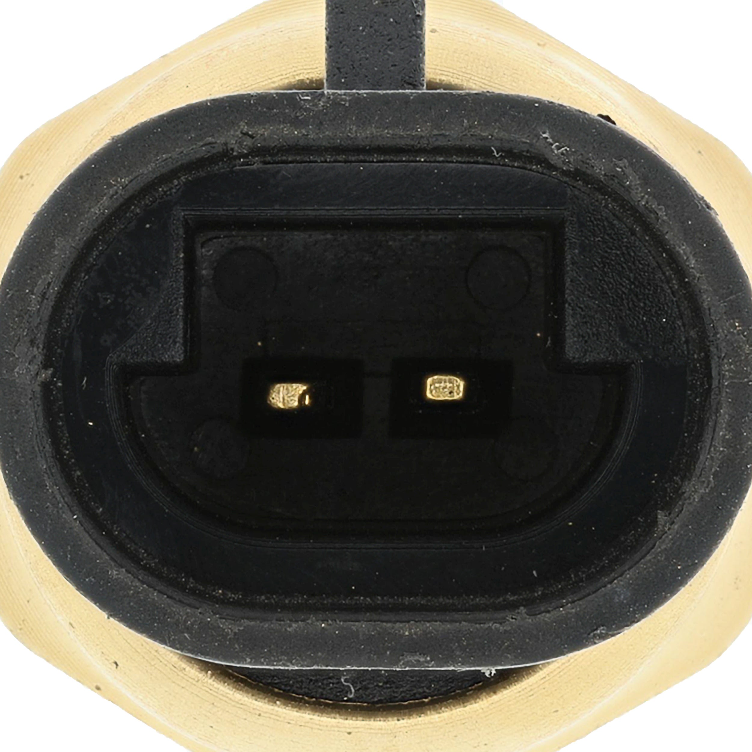 Corvette Engine Coolant Temperature Sensor : 1988-1999 5.7