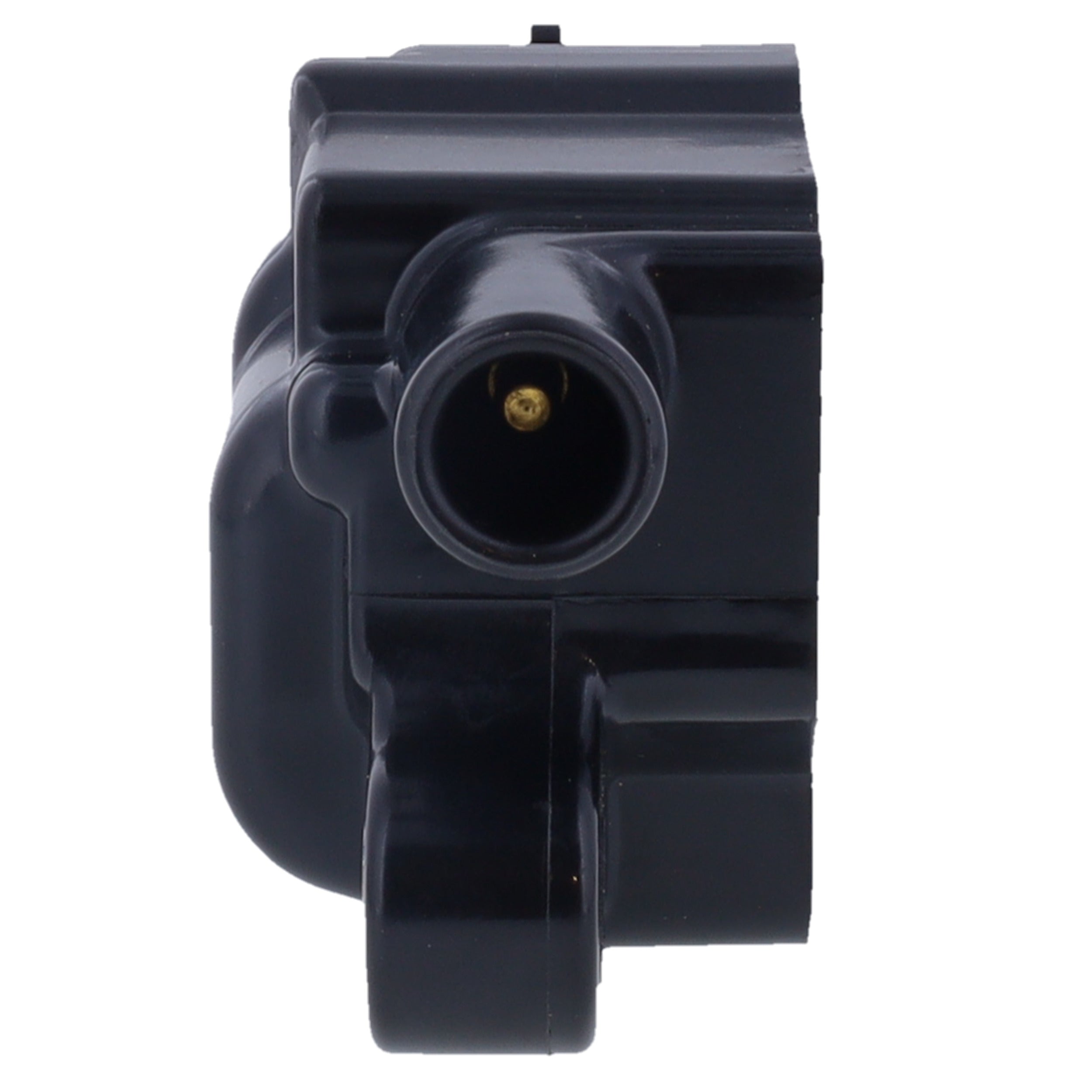 Corvette Ignition Coil : 2007-2019