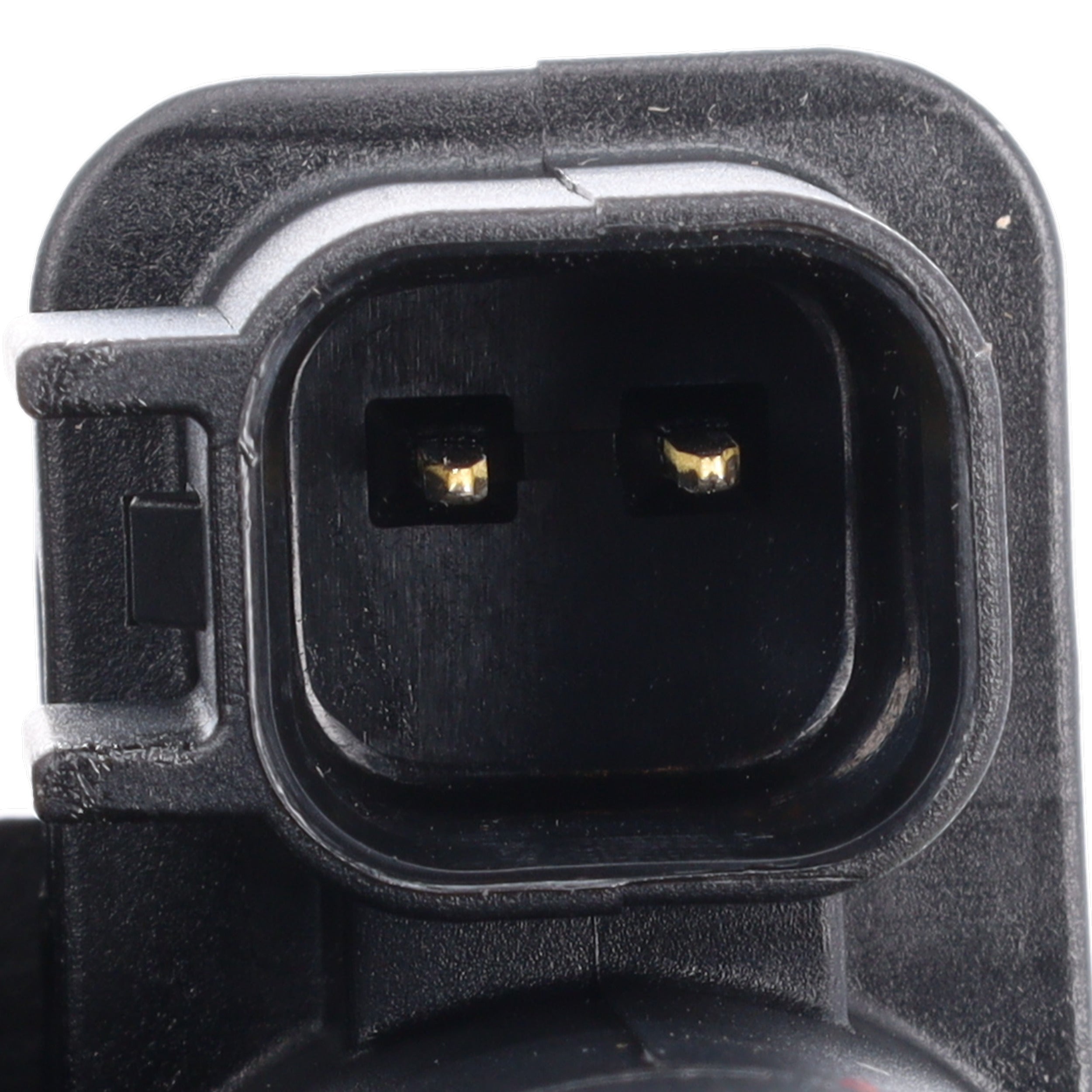 Corvette Vapor Canister Vent Valve : 2014-2019 6.2