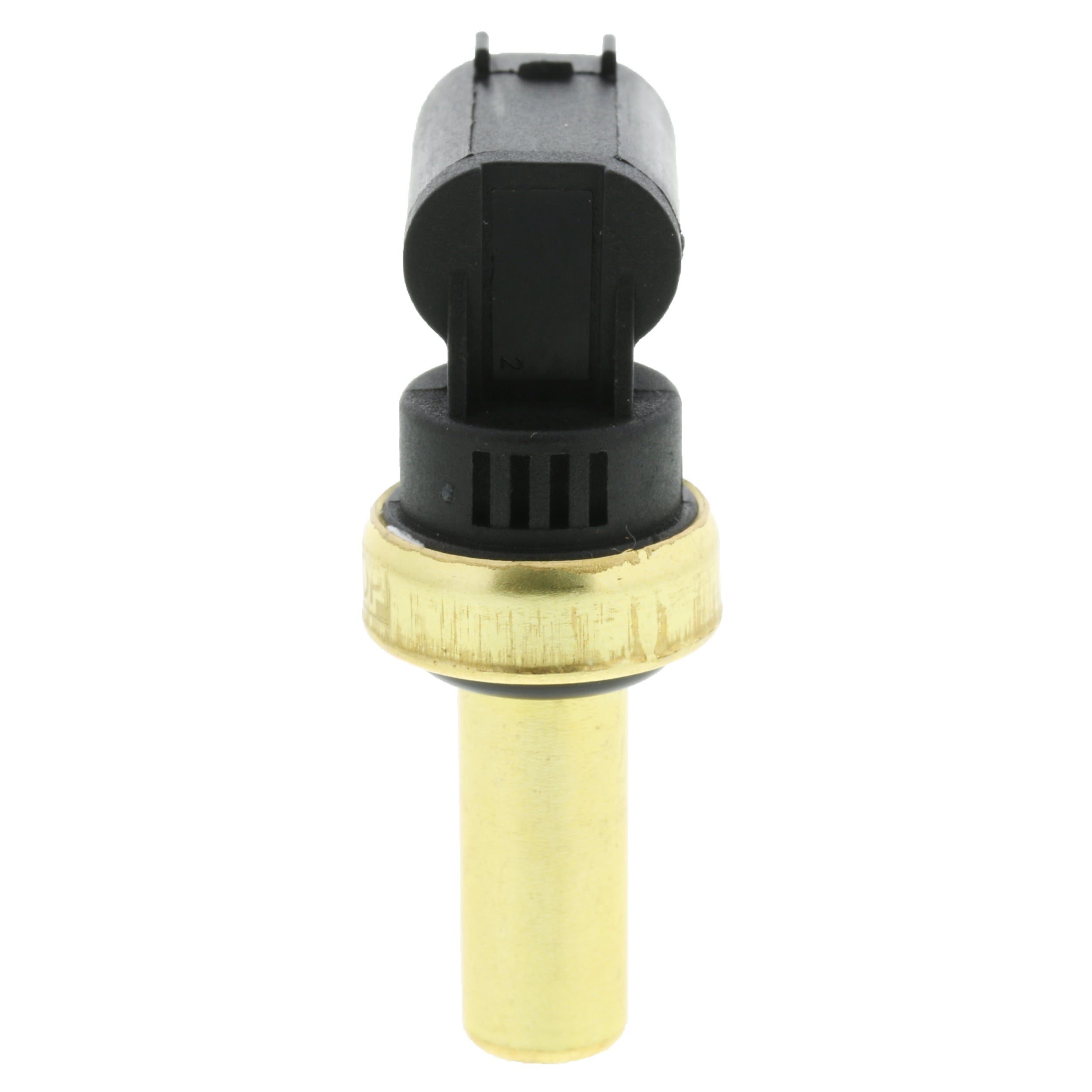 Corvette Engine Coolant Temperature Sensor : 2018-2024