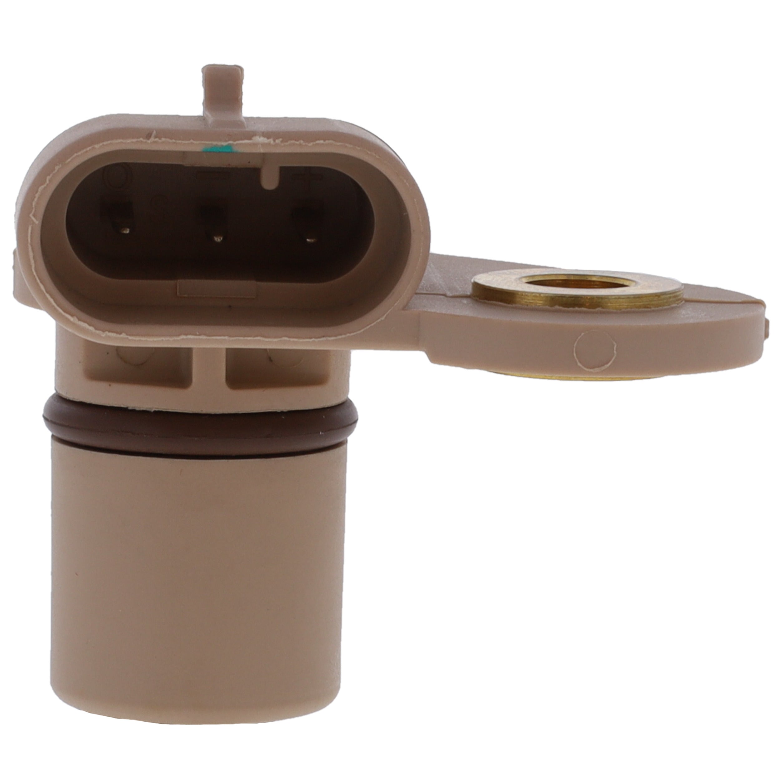 Corvette Engine Camshaft Position Sensor : 2007-2019