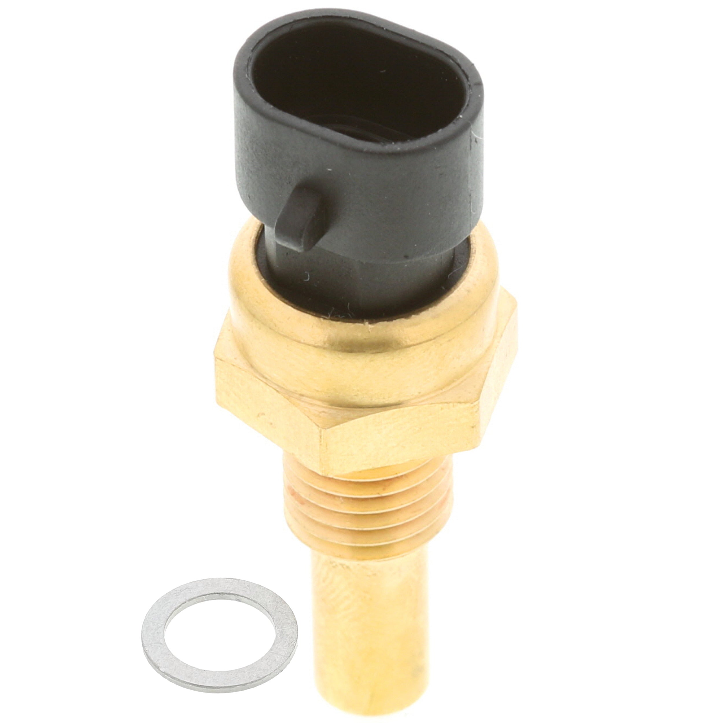 Corvette Engine Coolant Temperature Sensor : 1999-2019
