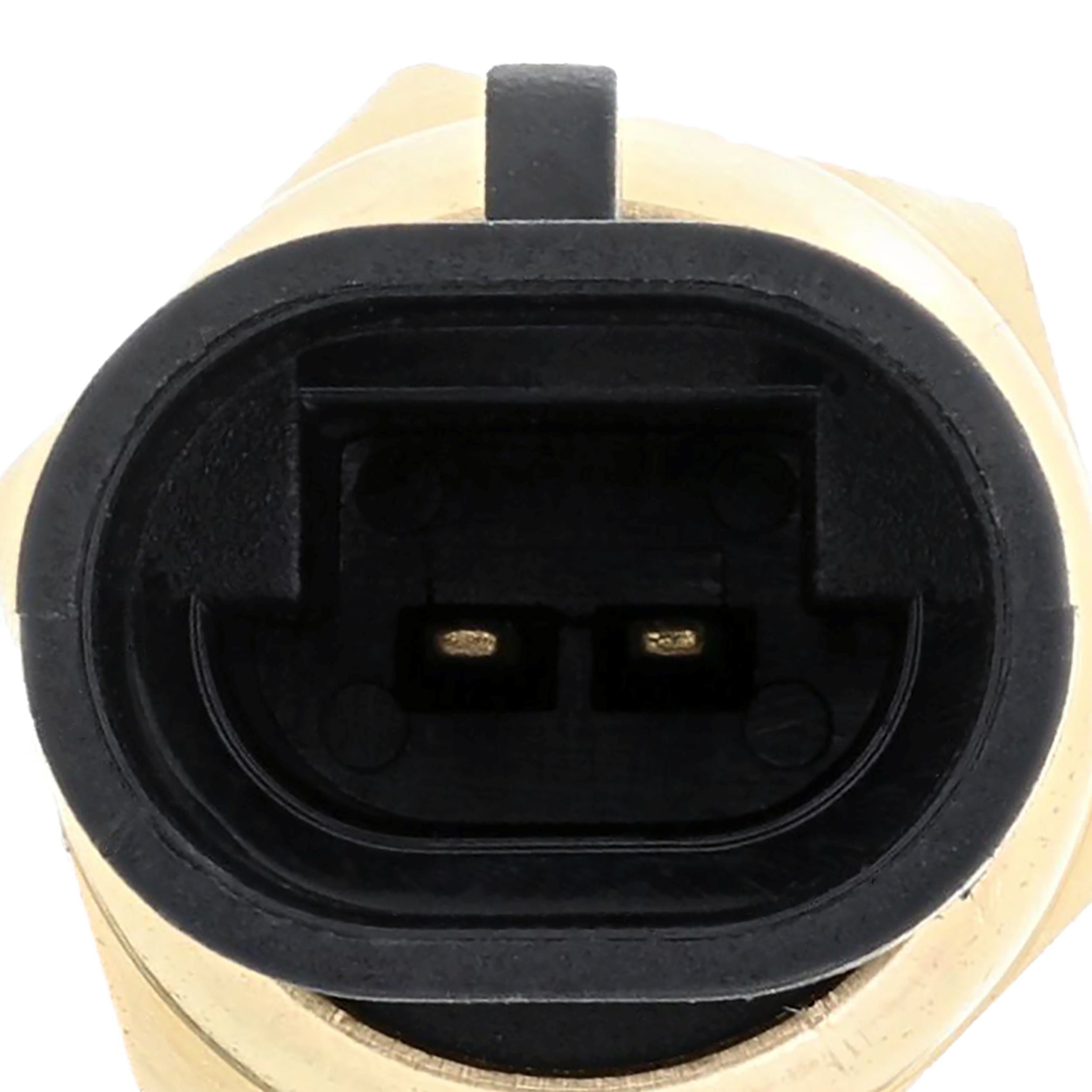 Corvette Engine Coolant Temperature Sensor : 1999-2019