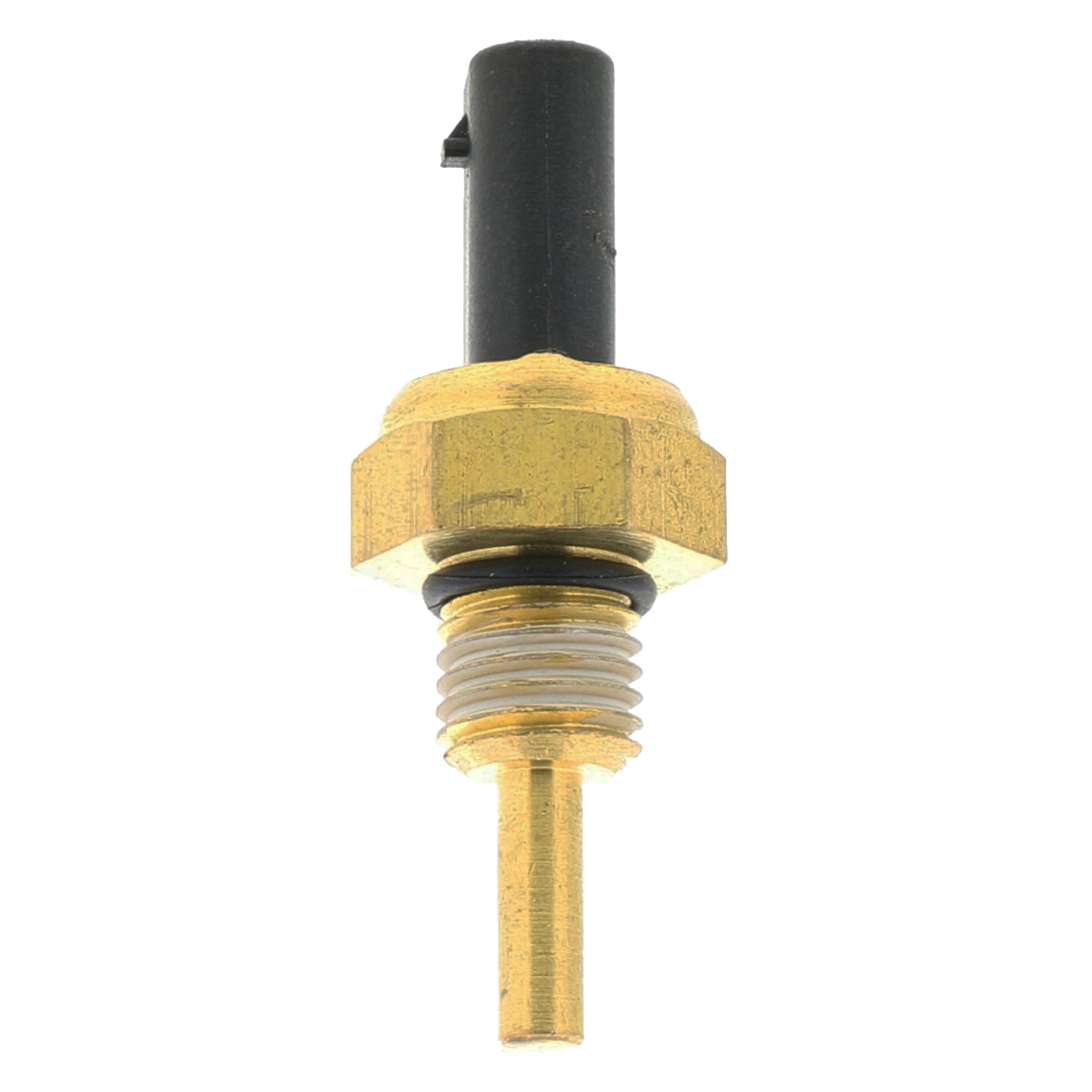 Corvette Engine Coolant Temperature Sensor : 2016-2024