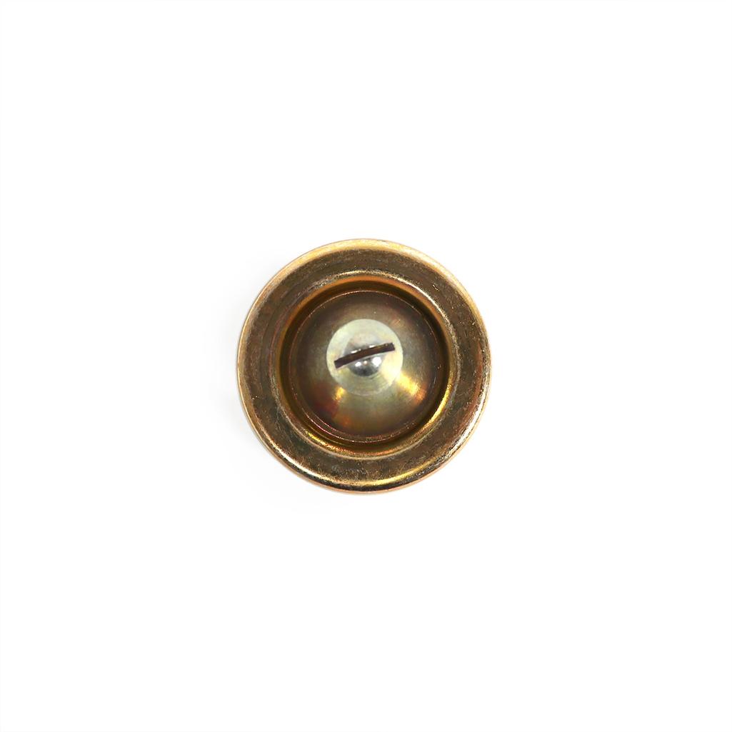 C3 1969-1976 Corvette Male Hood Lock Pin Assembly, 69L