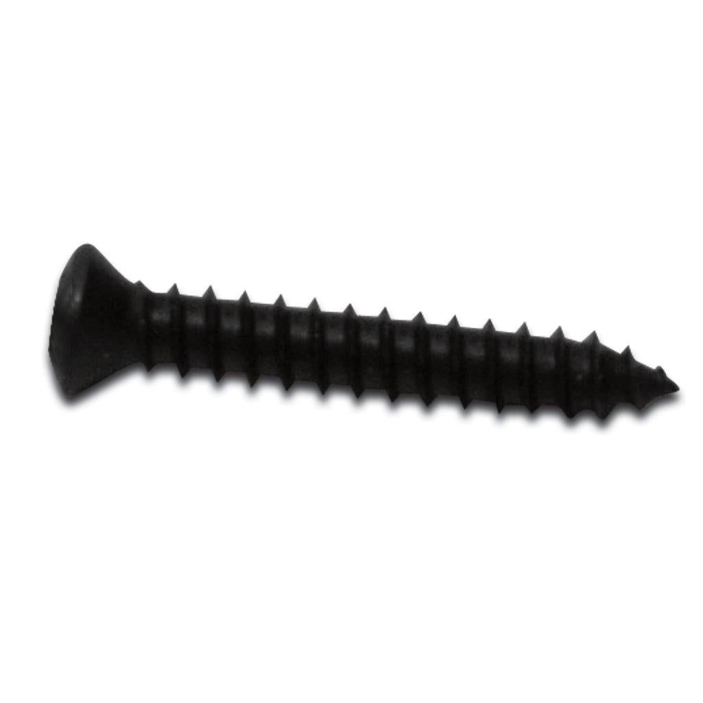 C4 1984-1996 Corvette Inside Mirror Mounting Screw