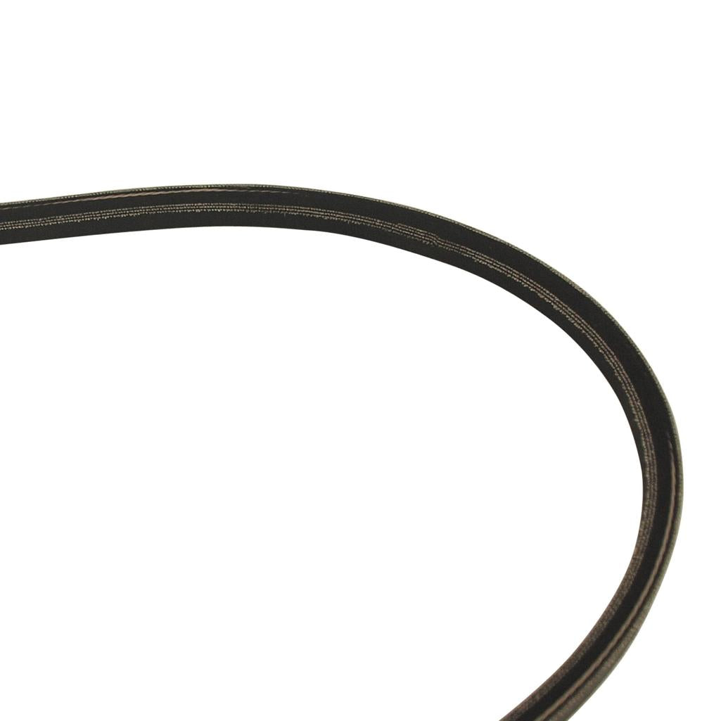 C3 1977-1979 Corvette Belt, Air Conditioner - 77 Late 79 Early - Reproductn GM# 9433918