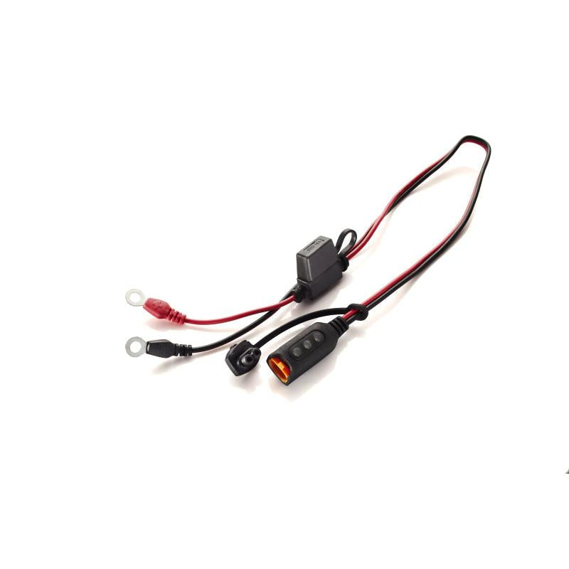 CTEK Accessory - Comfort Indicator Eyelet M6
