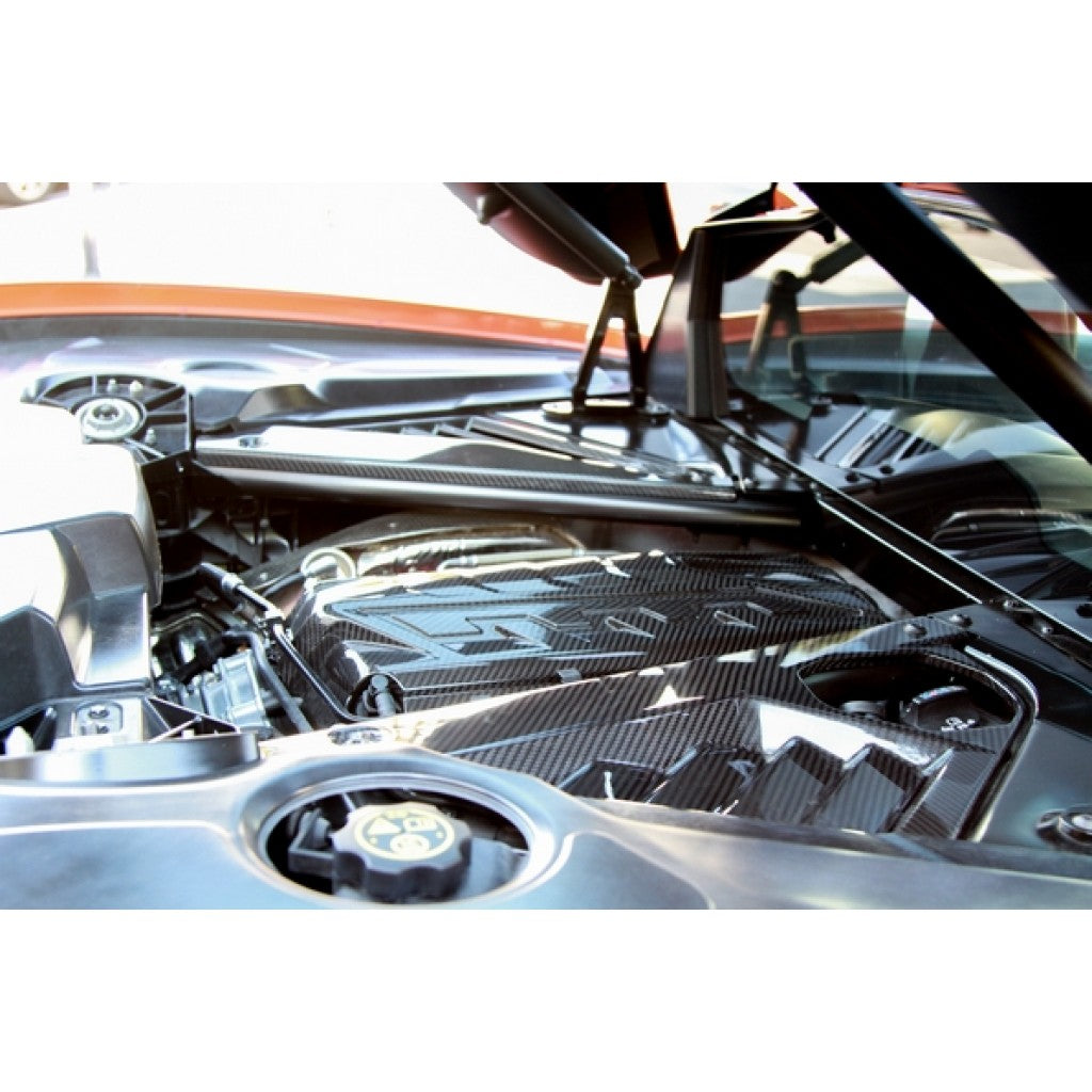 C8 Corvette Plenum Cover : Carbon Fiber