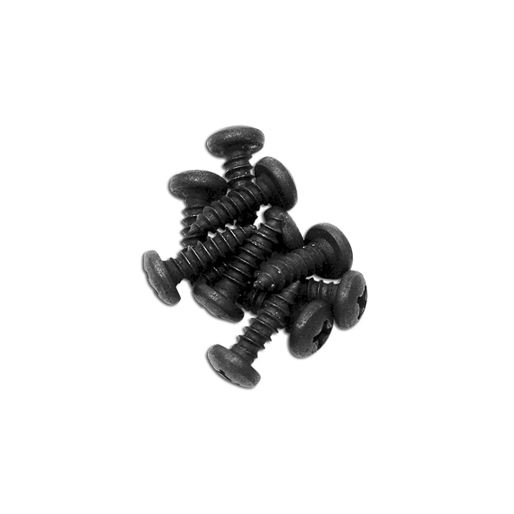 C3 1968-1982 Corvette Weatherstrip Screw Set - Door Main - 10Pc