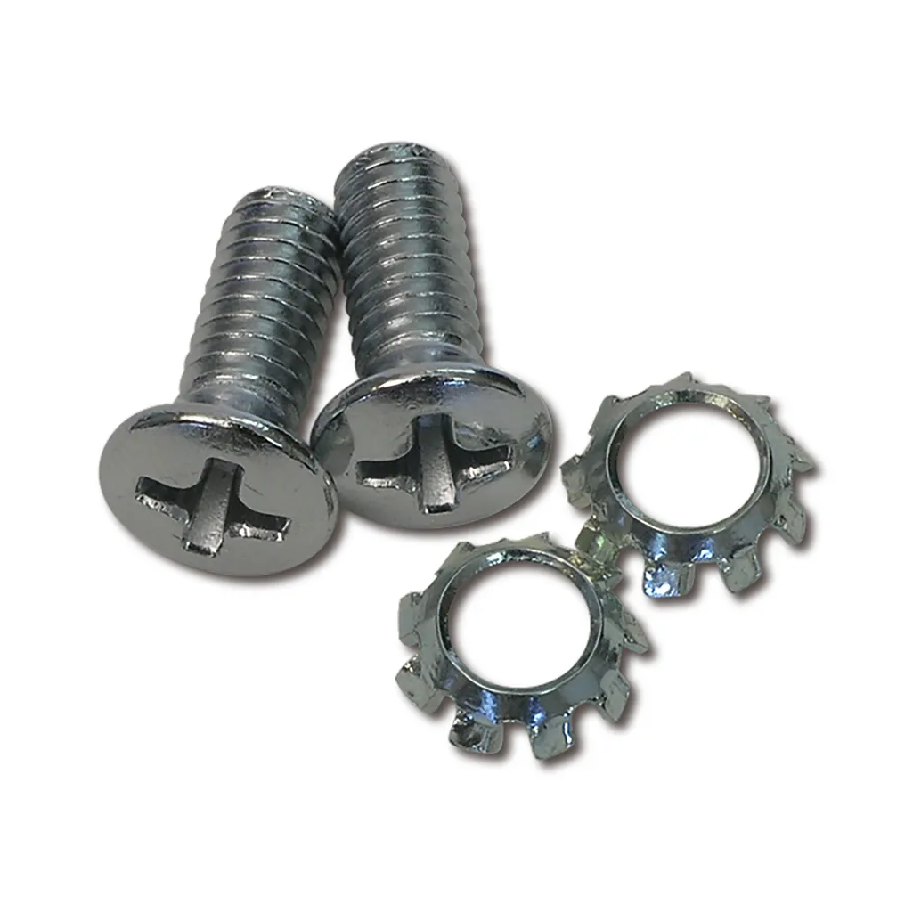 C3 1968-1977 Corvette Door Latch Handle Screws - 4Pc Set