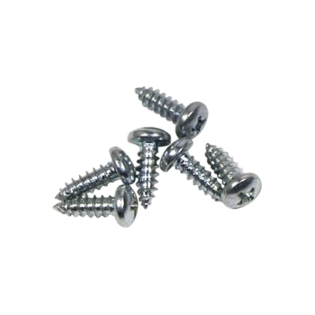 C1 1956-1957 Corvette Door Drip Rail Screws - 6Pc Set