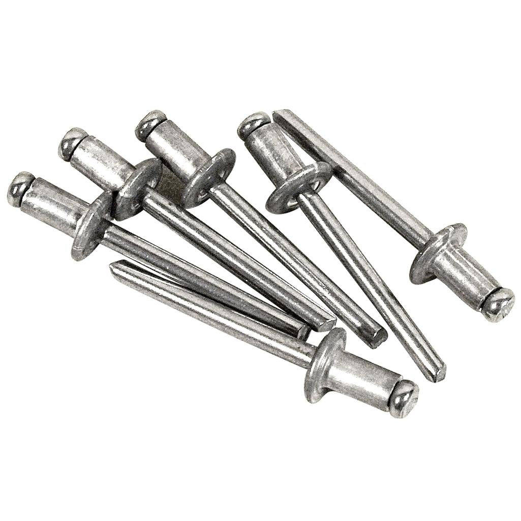 C4 1984-1996 Corvette Door Seal Rivets 6pc