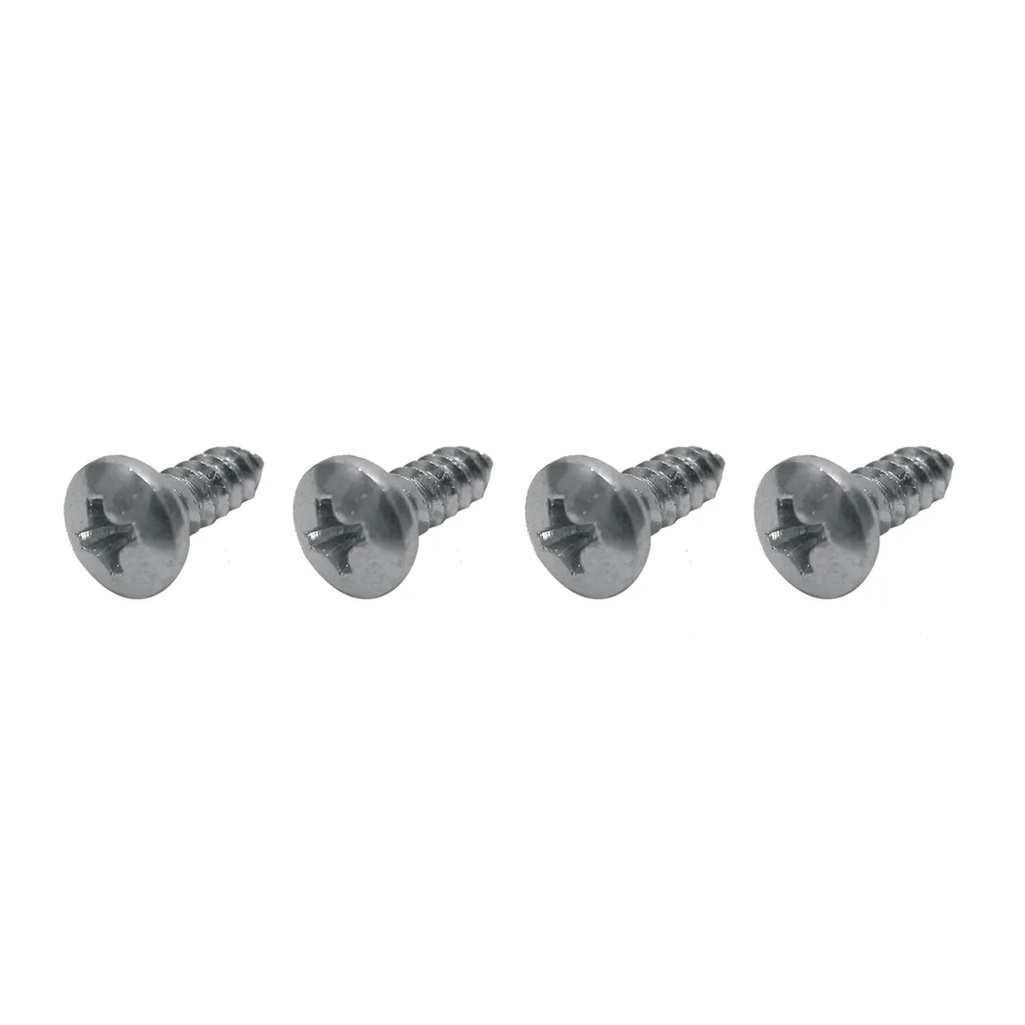 C2 1963-1967 Chevrolet Corvette Rear License Bezel Screws - 4Pc Set