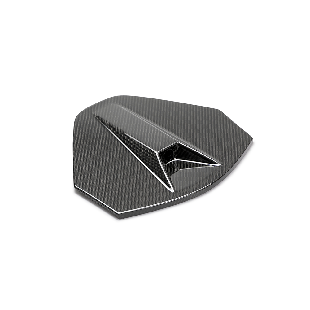 C8 Corvette Rear Camera Decklid Housing Carbon Fiber