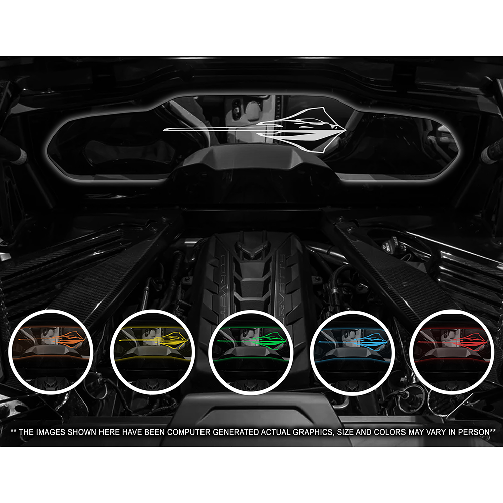 Corvette WindRestrictor Illuminated Glow Plate - Stingray Fish Coupe : C8
