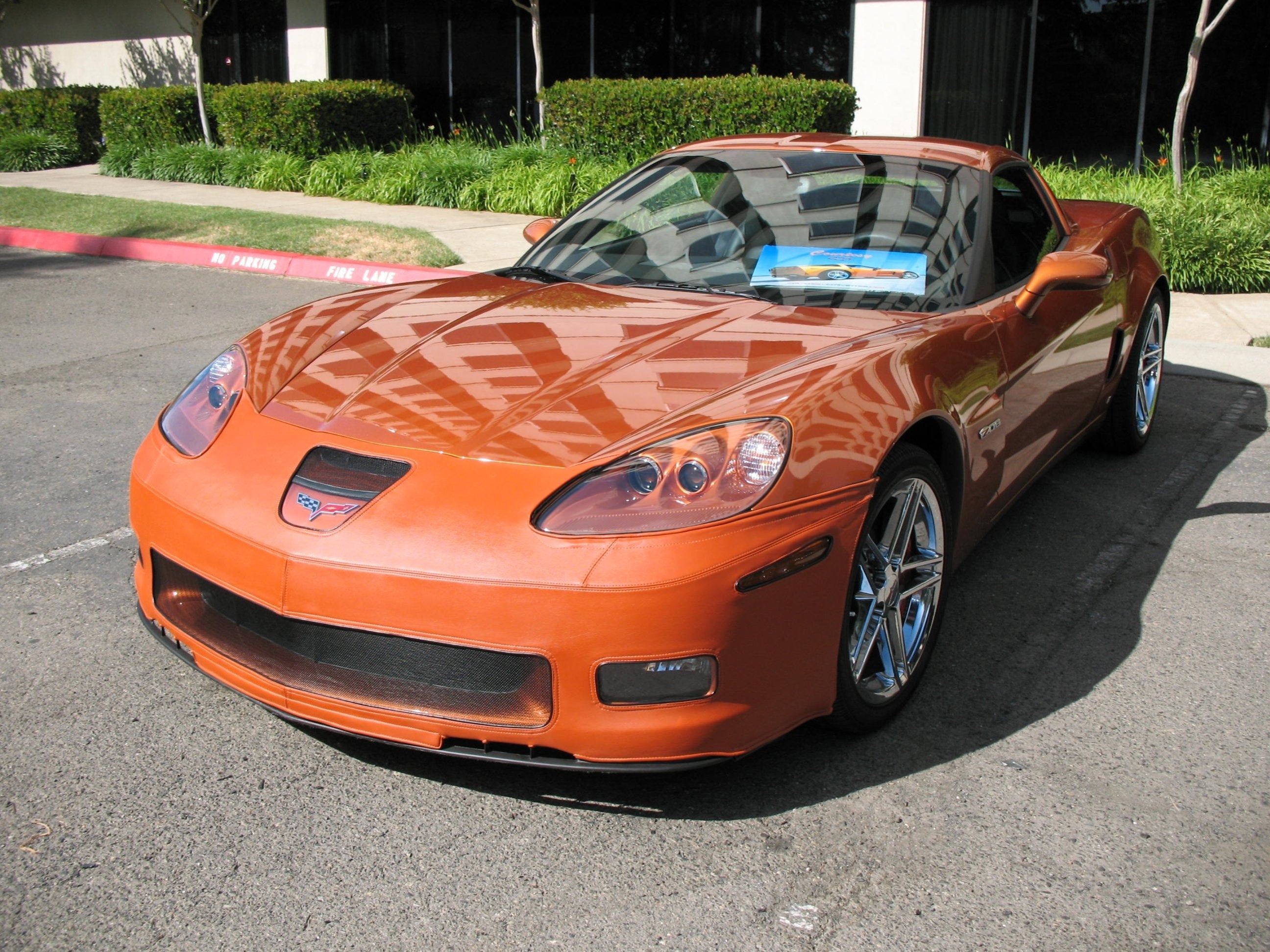 Corvette Bra Color Matched NO License Plate Pocket - SpeedLingerie : 2006-2013 C6 (Cashmere)