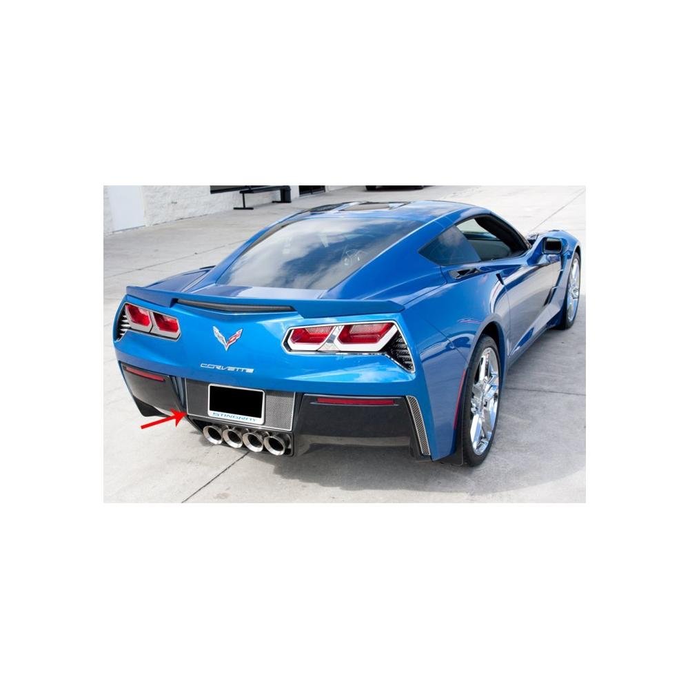 Corvette Tag Back Carbon Fiber w/Polished Trim : C7 Stingray